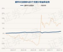 12月6日基金净值：鹏华丰玉债券A最新净值10656涨