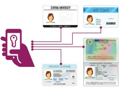 2025年去中心化身份平台产业数据报告