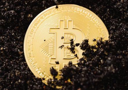 嘉楠科技2025年Q1营收8278万美元 同比增长136%