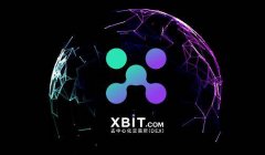 加密风暴下USDT交易激增XBIT去中心化平台成新宠