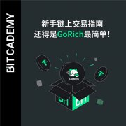 链上交易不再难GoRich带你轻松入门Memecoin的世界