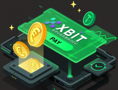 SUI杠杆交易所与XBIT正吸引全球目光