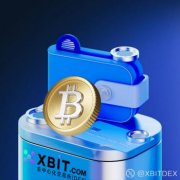 Froneri融资46亿启示：XBIT去中心化平台如何重塑投