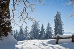 显卡挖矿往事：疯狂背后的技术与泡沫