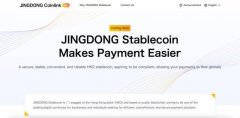 京东发的什么币