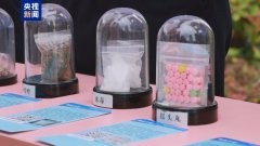 国家禁毒办发布2024年以来侦破毒品案件十大典型
