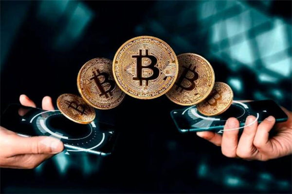 揭秘“虚拟养殖”：以高息返利为诱饵吸引投资上亿元